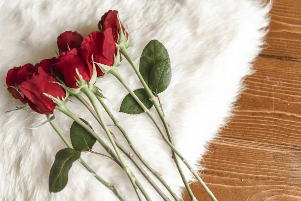 ideas de decoración hogar rosas san valentín espacio y armonía